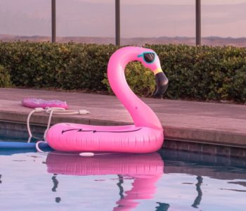 pink flamingo pool floaty floats on the surface of an outdoor pool